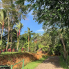 Отель Paradise Lodge, фото 45
