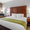 Отель Comfort Inn, фото 3