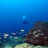 Отель Appart Bleu Caraibe Bord de Mer, фото 4