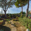 Отель Casetta Rossa 500 meters from the beach of Lido di Capoliveri surrounded by greenery-LA CASETTA ROSS, фото 18