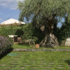 Отель Villa Leone, фото 8