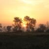 Отель Farmer's Villa - Best Farm Stay as per Guest's Reviews, фото 1