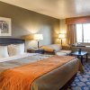Отель Comfort Inn & Suites Rancho Cordova-Sacramento, фото 7
