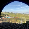 Отель Room in B&B - Room Overlooking the Vineyards and Florence, фото 5
