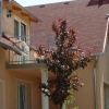 Отель Villa Mónika, фото 1