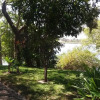 Отель Caprivi River Lodge, фото 34