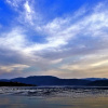 Отель Lavender Cove, фото 12