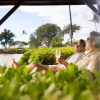Отель Fairmont Orchid Gold Experience, фото 11