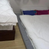 Отель 숲속바다 함덕하우스, фото 1