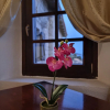 Отель Aparthotel Dvori Balsica, фото 38