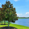 Отель Vista Cay at Harbor Square by Orlando Vacations 360, фото 31