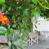Отель Mesonette Bungalow Sea View, фото 17