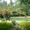 Отель Garden View Bed & Breakfast Rolleston, фото 13