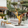 Отель Bemyguest Plus Villa Chrisanthi, фото 13