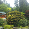 Отель Koyasan Sainan-In, фото 33