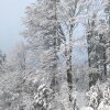 Отель Gasthof Waldschenke, фото 1