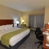 Отель Best Western Franklin Town Center Hotel & Suites, фото 4