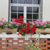 Отель La Miramboise, фото 29