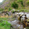 Отель Nainital River Camp, фото 8