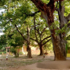 Отель Wild Haven Resort, фото 16