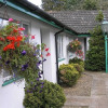 Отель The Willow House, фото 1