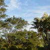 Отель Aloe Guest Lodge, фото 6