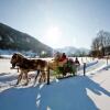 Отель Luxurious Chalet Near Ski Area in Murau, фото 22