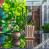 Отель Dali Bodhi Garden Resort Hotel, фото 19