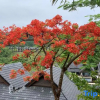 Отель YUEXI VILLA Hotel, фото 11