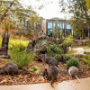 Отель Wildlife Retreat at Taronga, фото 14