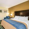 Отель Comfort Inn & Suites Lantana - West Palm Beach South, фото 40