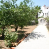 Отель Villa Nur, фото 3