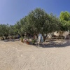 Отель Olive Garden Camp Resort, фото 14