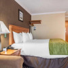 Отель Comfort Inn Brockville, фото 2