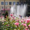 Хостел New Hostel Sochi в Сочи