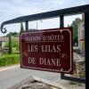 Отель Les Lilas de Diane, фото 1