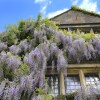 Отель Abbey House Gardens, фото 7