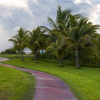 Отель Las Gaviotas Hotel & Suites, фото 16