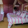 Отель Luxury Camp Chebbi, фото 21