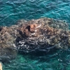 Отель Le Tre Meraviglie a 200m Dal Mare, фото 25