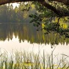 Отель Tuba järveäärses puhkemajas - Saarjärve Puhkemaja, фото 32