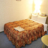 Отель Shizuoka Daiichi Hotel, фото 6