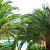 Отель Cochelli Villa Lower Swimming Pool Walk to Beach A C Wifi Car Not Required - 175, фото 27