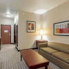 Отель Holiday Inn Express & Suites Mineral Wells, фото 3