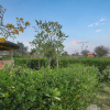 Отель The Imperial Farm Retreat Jaipur - A weekend Gateway, фото 16