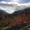 Отель House With 2 Bedrooms in Manteigas, With Wonderful Mountain View and B, фото 18