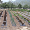 Отель Danyang Yeongae Somun Pension, фото 31