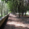 Отель Torres, фото 23
