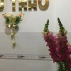 Отель Thu Thao, фото 16