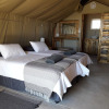 Отель Blue Bushman Luxury Tented Lodge, фото 7